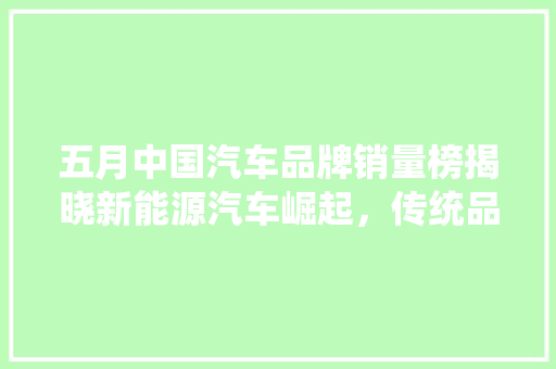 五月中国汽车品牌销量榜揭晓新能源汽车崛起，传统品牌稳中求进