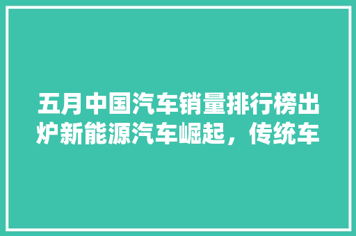 五月中国汽车销量排行榜出炉新能源汽车崛起，传统车企积极转型