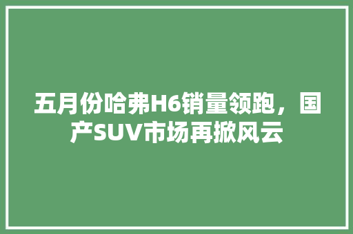 五月份哈弗H6销量领跑，国产SUV市场再掀风云