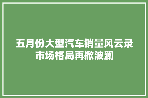 五月份大型汽车销量风云录市场格局再掀波澜