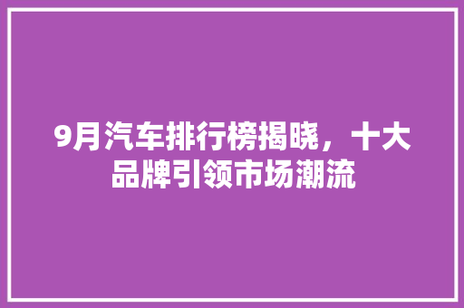 9月汽车排行榜揭晓，十大品牌引领市场潮流