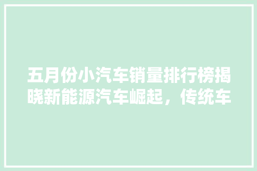 五月份小汽车销量排行榜揭晓新能源汽车崛起，传统车企面临挑战