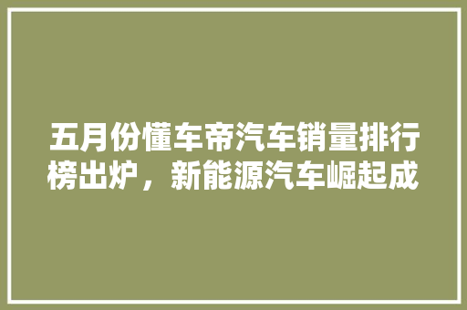 五月份懂车帝汽车销量排行榜出炉，新能源汽车崛起成新趋势
