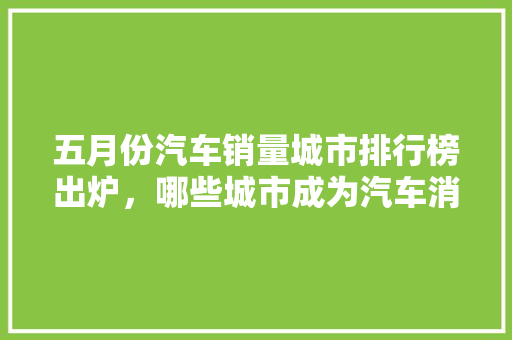五月份汽车销量城市排行榜出炉，哪些城市成为汽车消费热点