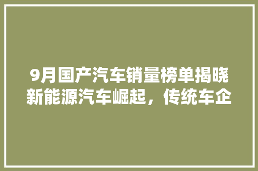 9月国产汽车销量榜单揭晓新能源汽车崛起，传统车企稳扎稳打