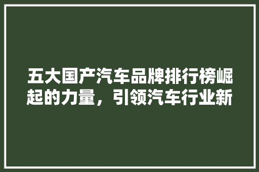 五大国产汽车品牌排行榜崛起的力量，引领汽车行业新篇章