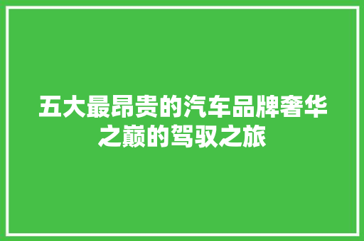 五大最昂贵的汽车品牌奢华之巅的驾驭之旅