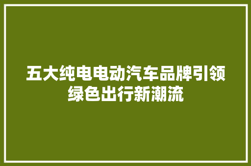 五大纯电电动汽车品牌引领绿色出行新潮流
