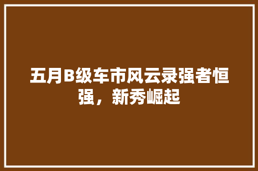 五月B级车市风云录强者恒强，新秀崛起
