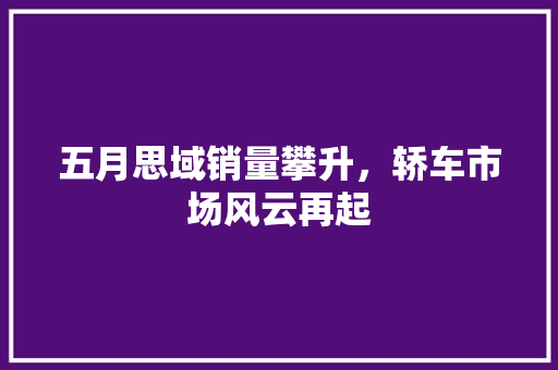 五月思域销量攀升，轿车市场风云再起