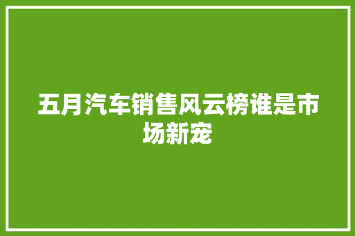 五月汽车销售风云榜谁是市场新宠