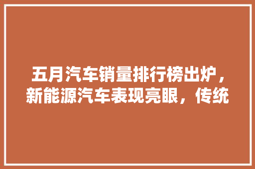 五月汽车销量排行榜出炉，新能源汽车表现亮眼，传统车企如何应对挑战