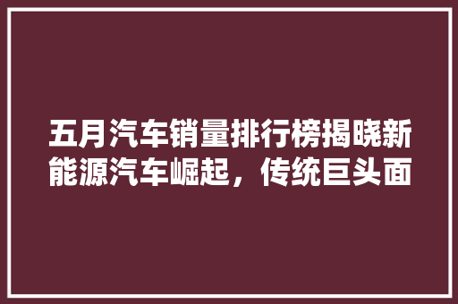五月汽车销量排行榜揭晓新能源汽车崛起，传统巨头面临挑战