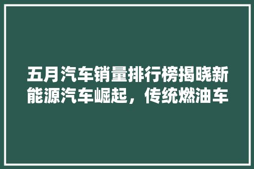 五月汽车销量排行榜揭晓新能源汽车崛起，传统燃油车市场面临挑战