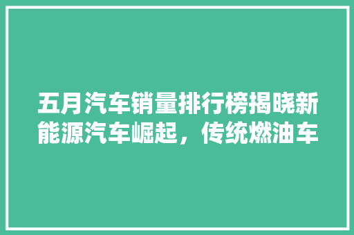 五月汽车销量排行榜揭晓新能源汽车崛起，传统燃油车面临挑战