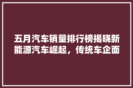 五月汽车销量排行榜揭晓新能源汽车崛起，传统车企面临挑战
