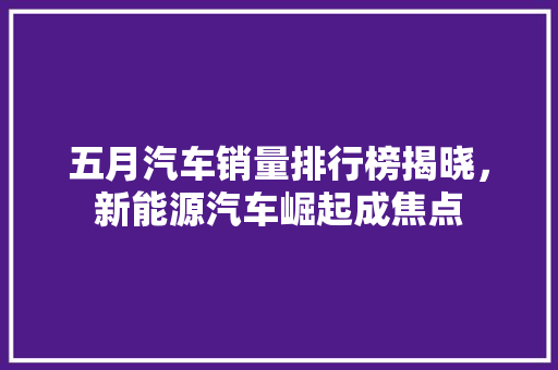 五月汽车销量排行榜揭晓，新能源汽车崛起成焦点