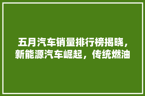 五月汽车销量排行榜揭晓，新能源汽车崛起，传统燃油车面临挑战