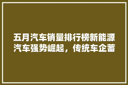 五月汽车销量排行榜新能源汽车强势崛起，传统车企蓄势待发