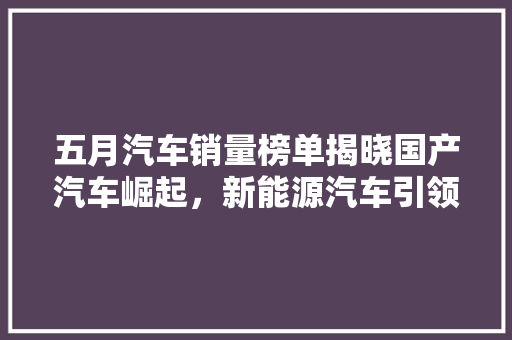 五月汽车销量榜单揭晓国产汽车崛起，新能源汽车引领潮流