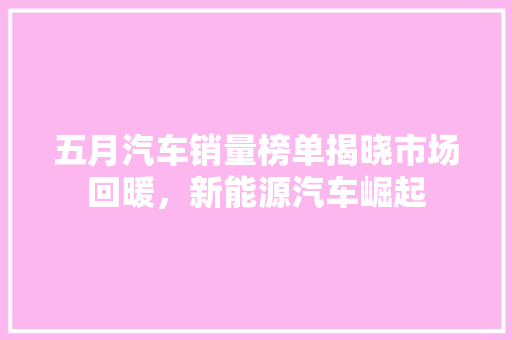 五月汽车销量榜单揭晓市场回暖，新能源汽车崛起