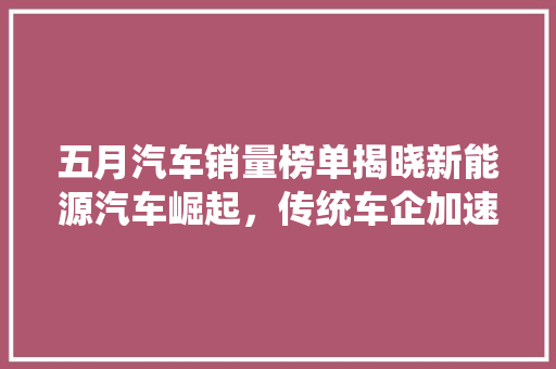 五月汽车销量榜单揭晓新能源汽车崛起，传统车企加速转型