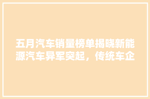 五月汽车销量榜单揭晓新能源汽车异军突起，传统车企面临挑战