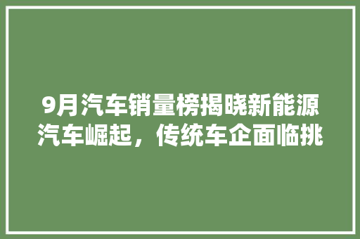 9月汽车销量榜揭晓新能源汽车崛起，传统车企面临挑战