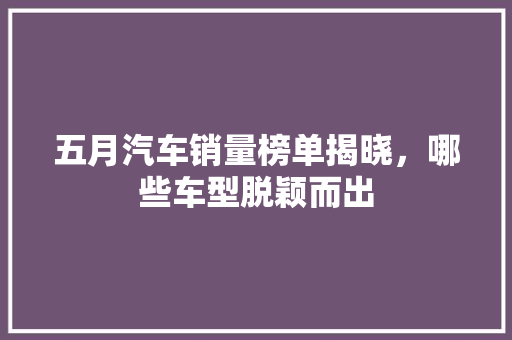 五月汽车销量榜单揭晓，哪些车型脱颖而出