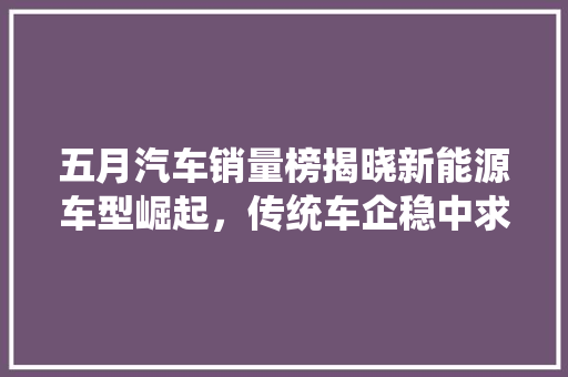 五月汽车销量榜揭晓新能源车型崛起，传统车企稳中求进