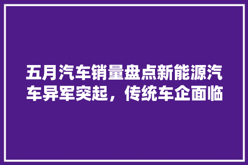 五月汽车销量盘点新能源汽车异军突起，传统车企面临挑战
