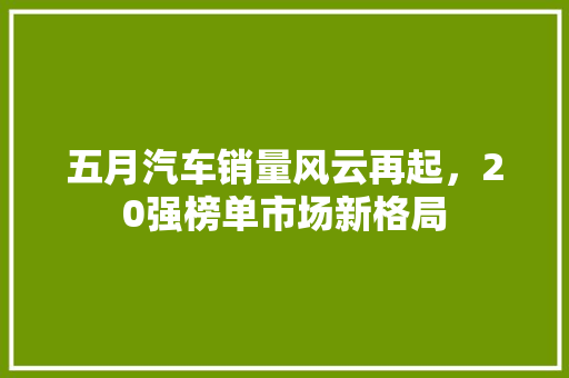 五月汽车销量风云再起，20强榜单市场新格局