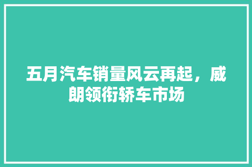 五月汽车销量风云再起，威朗领衔轿车市场