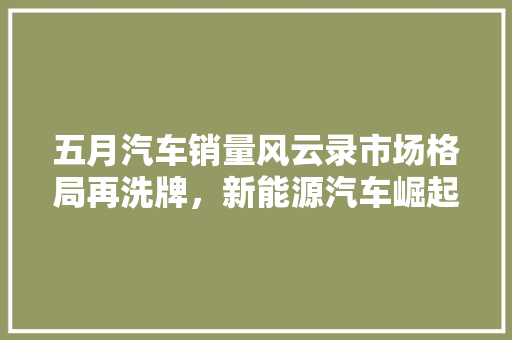 五月汽车销量风云录市场格局再洗牌，新能源汽车崛起