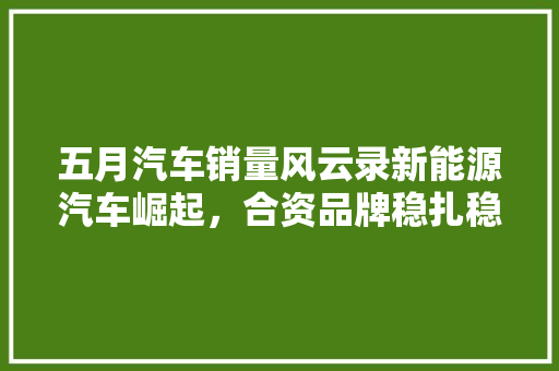 五月汽车销量风云录新能源汽车崛起，合资品牌稳扎稳打