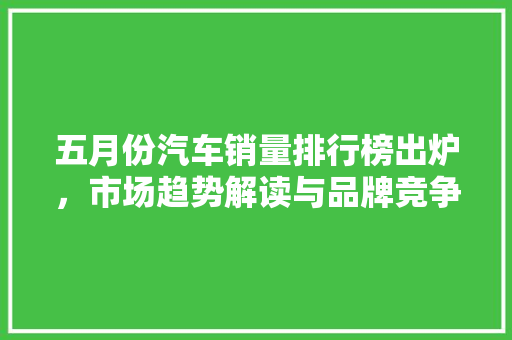 五月份汽车销量排行榜出炉，市场趋势解读与品牌竞争格局分析