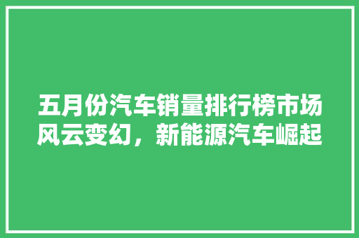 五月份汽车销量排行榜市场风云变幻，新能源汽车崛起