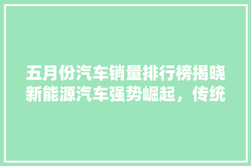 五月份汽车销量排行榜揭晓新能源汽车强势崛起，传统燃油车面临挑战