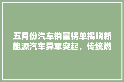 五月份汽车销量榜单揭晓新能源汽车异军突起，传统燃油车面临挑战