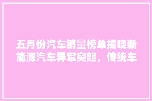 五月份汽车销量榜单揭晓新能源汽车异军突起，传统车企面临挑战