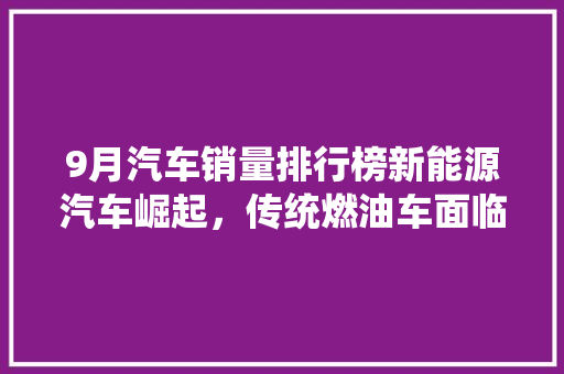 9月汽车销量排行榜新能源汽车崛起，传统燃油车面临挑战