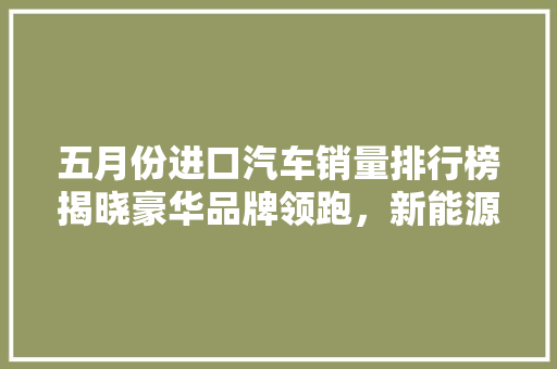 五月份进口汽车销量排行榜揭晓豪华品牌领跑，新能源汽车崛起