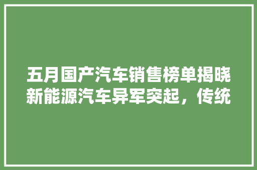 五月国产汽车销售榜单揭晓新能源汽车异军突起，传统车企再展雄风