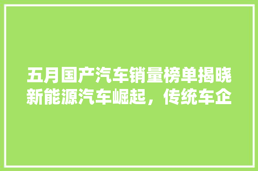五月国产汽车销量榜单揭晓新能源汽车崛起，传统车企稳扎稳打
