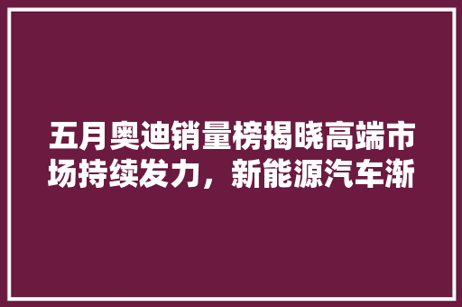 五月奥迪销量榜揭晓高端市场持续发力，新能源汽车渐成新宠