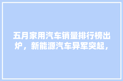 五月家用汽车销量排行榜出炉，新能源汽车异军突起，传统车企面临挑战