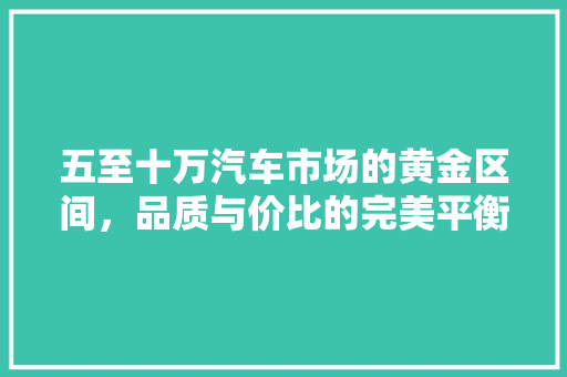 五至十万汽车市场的黄金区间，品质与价比的完美平衡