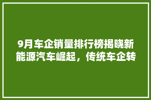 9月车企销量排行榜揭晓新能源汽车崛起，传统车企转型加速