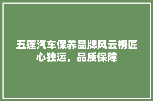 五莲汽车保养品牌风云榜匠心独运，品质保障