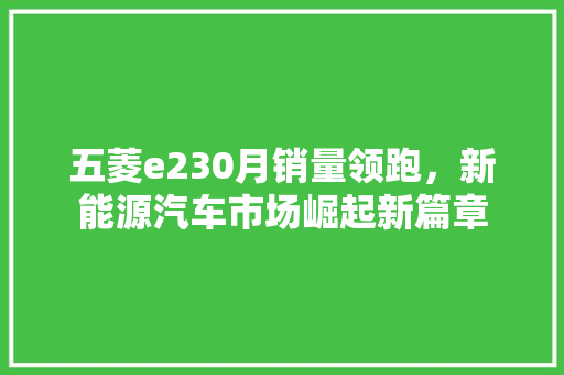 五菱e230月销量领跑，新能源汽车市场崛起新篇章